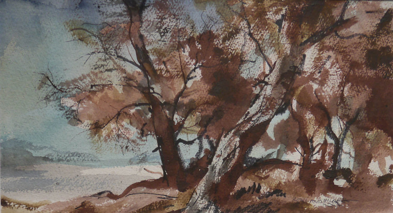 Trees near Twinstead