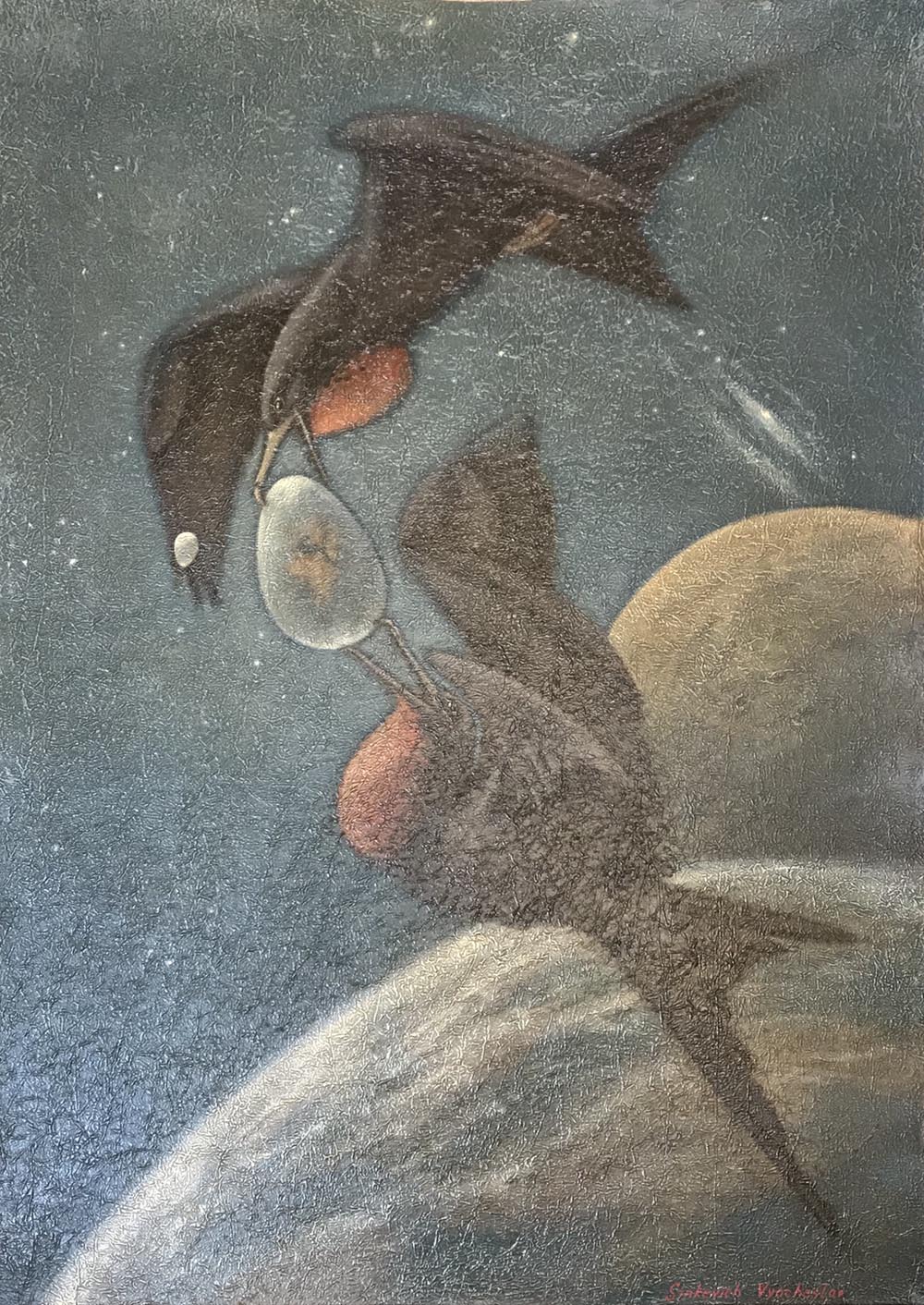 Constellation, Weightlessness